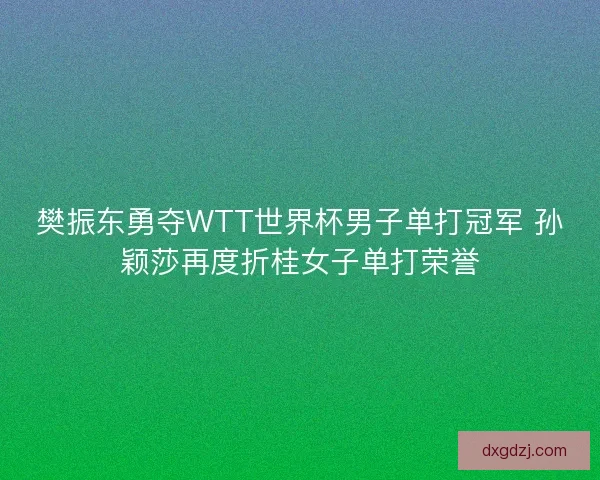 樊振东勇夺WTT世界杯男子单打冠军 孙颖莎再度折桂女子单打荣誉
