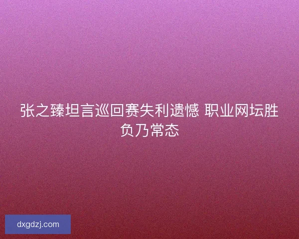张之臻坦言巡回赛失利遗憾 职业网坛胜负乃常态