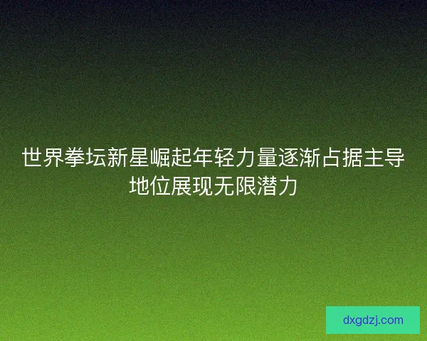 世界拳坛新星崛起年轻力量逐渐占据主导地位展现无限潜力